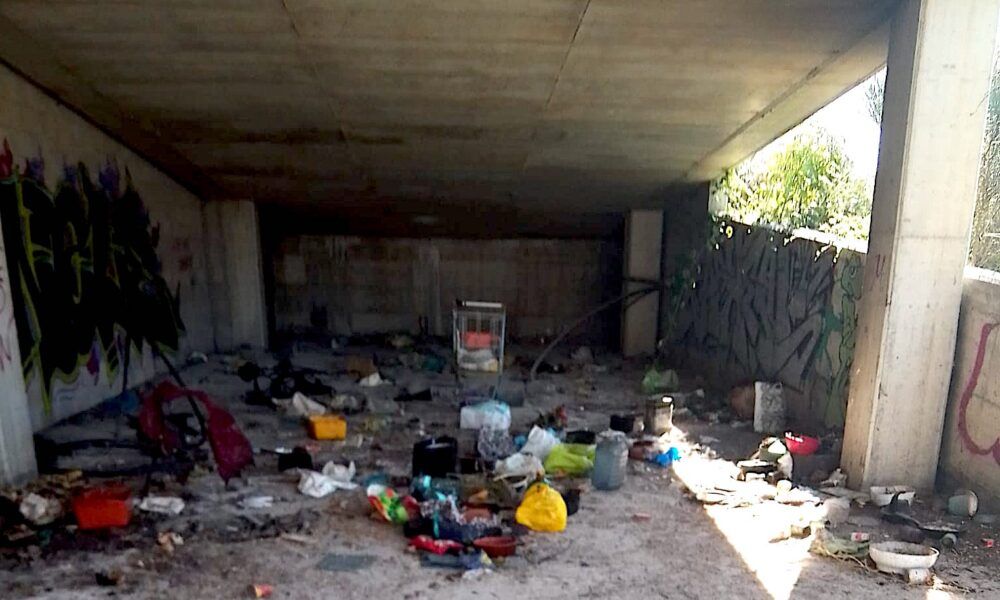 tartarughe uccise e mangiate a Roma in zona Ponte di Nona