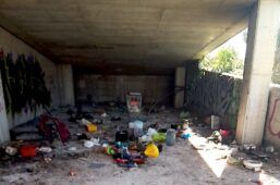 tartarughe uccise e mangiate a Roma in zona Ponte di Nona