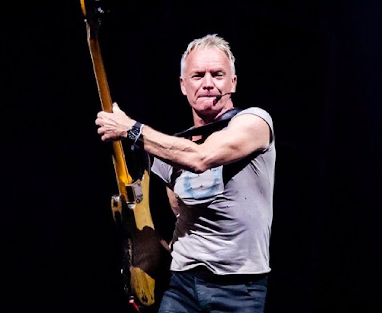 Sting, chi è