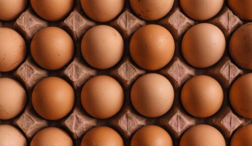 Allarme salmonella nelle uova
