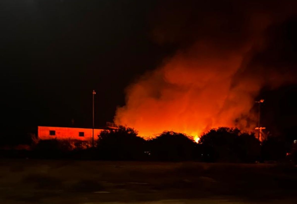 incendio Salzare Ardea