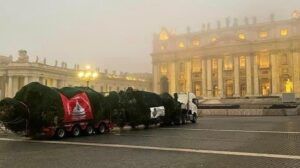 albero di natale piazza san pietro