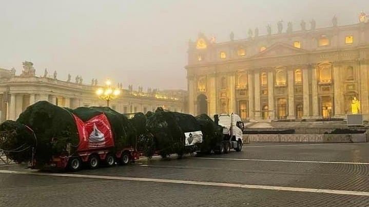 albero di natale piazza san pietro