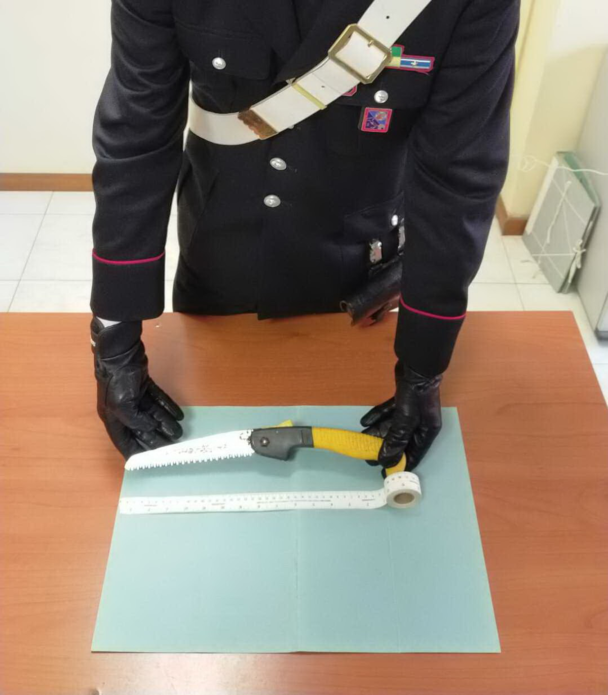 carabinieri ardea