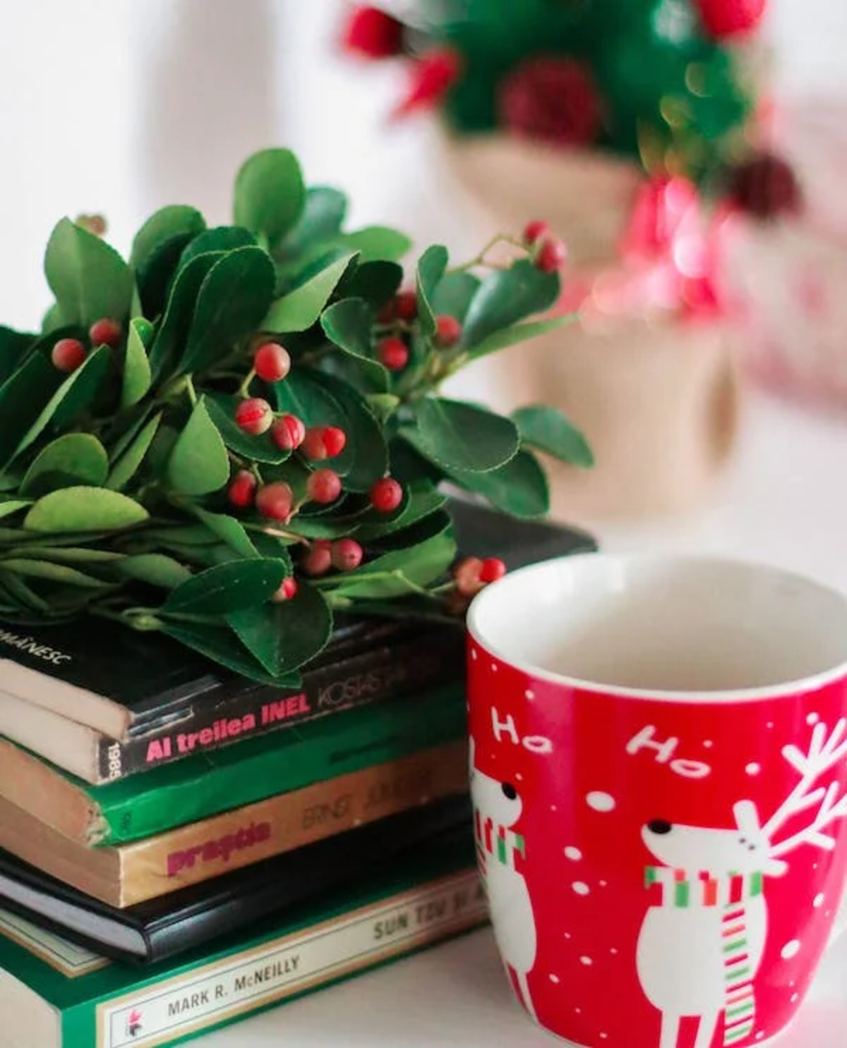 Quali sono i migliori libri da leggere per Natale?