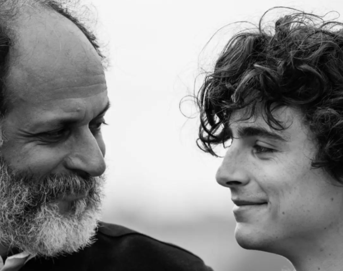 Luca Guadagnino e Timothèè