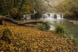 Foliage alle cascate di Monte Gelato