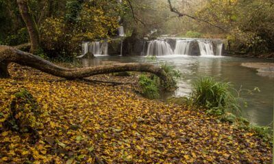Foliage alle cascate di Monte Gelato