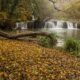 Foliage alle cascate di Monte Gelato