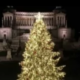 Tutti control l'albero di Natale a Roma