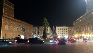 albero di natale piazza Venezia