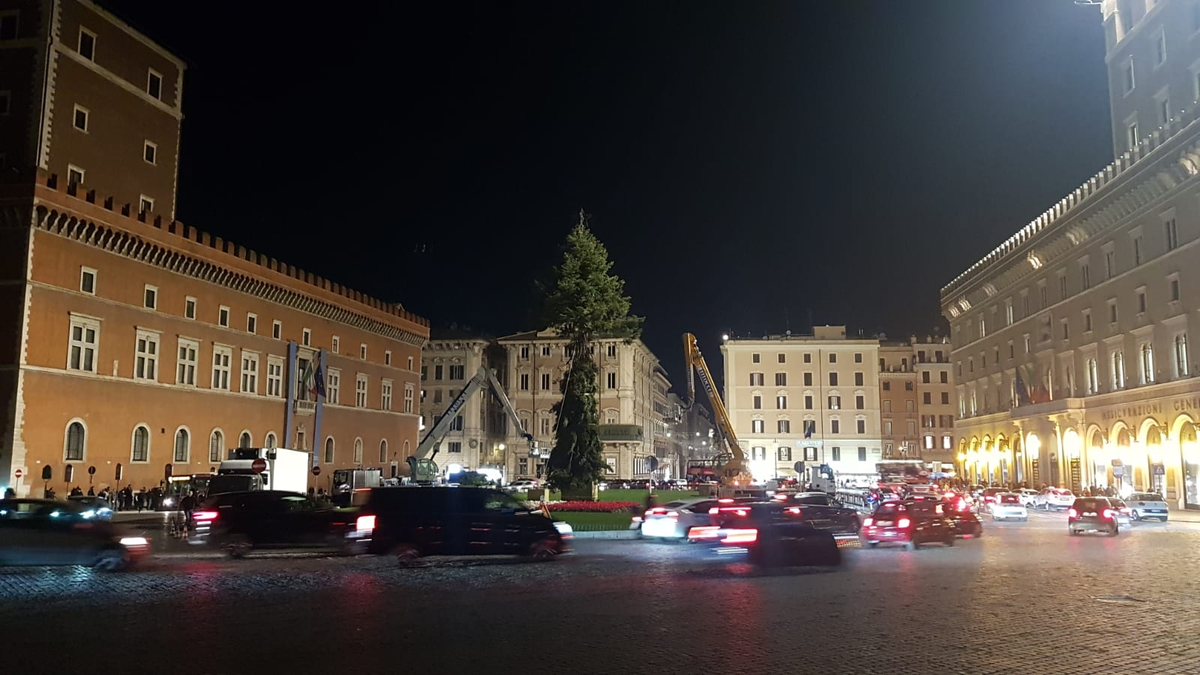 albero di natale piazza Venezia