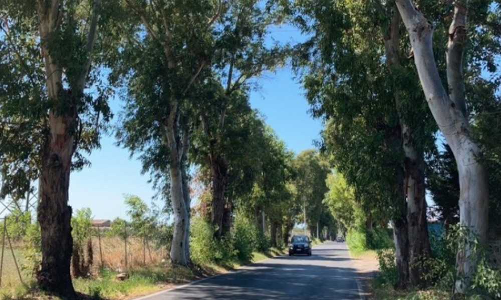 via di Torvaianica Alta