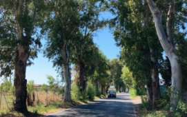 via di Torvaianica Alta