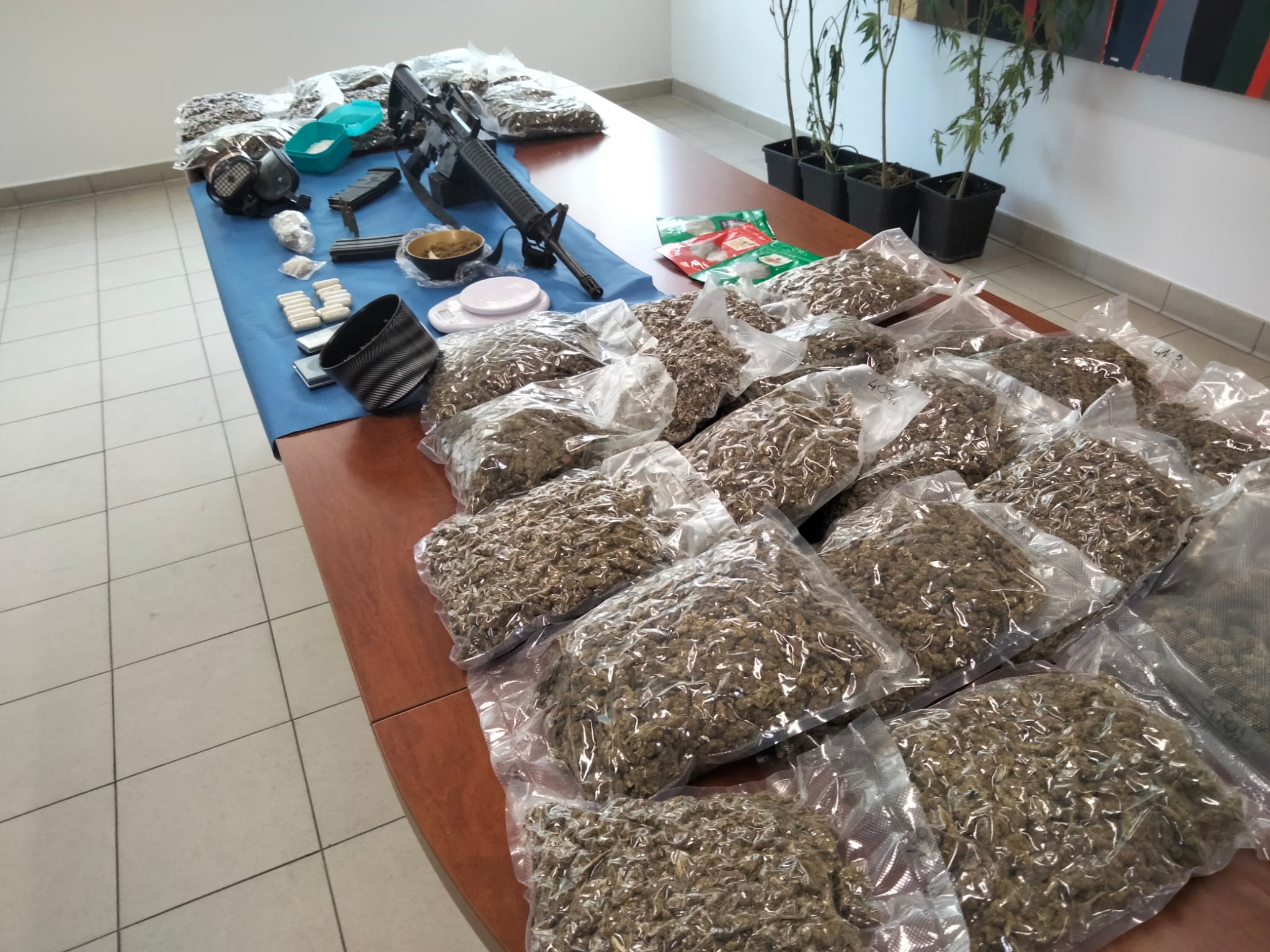 marijuana e armi trovate dai Carabinieri