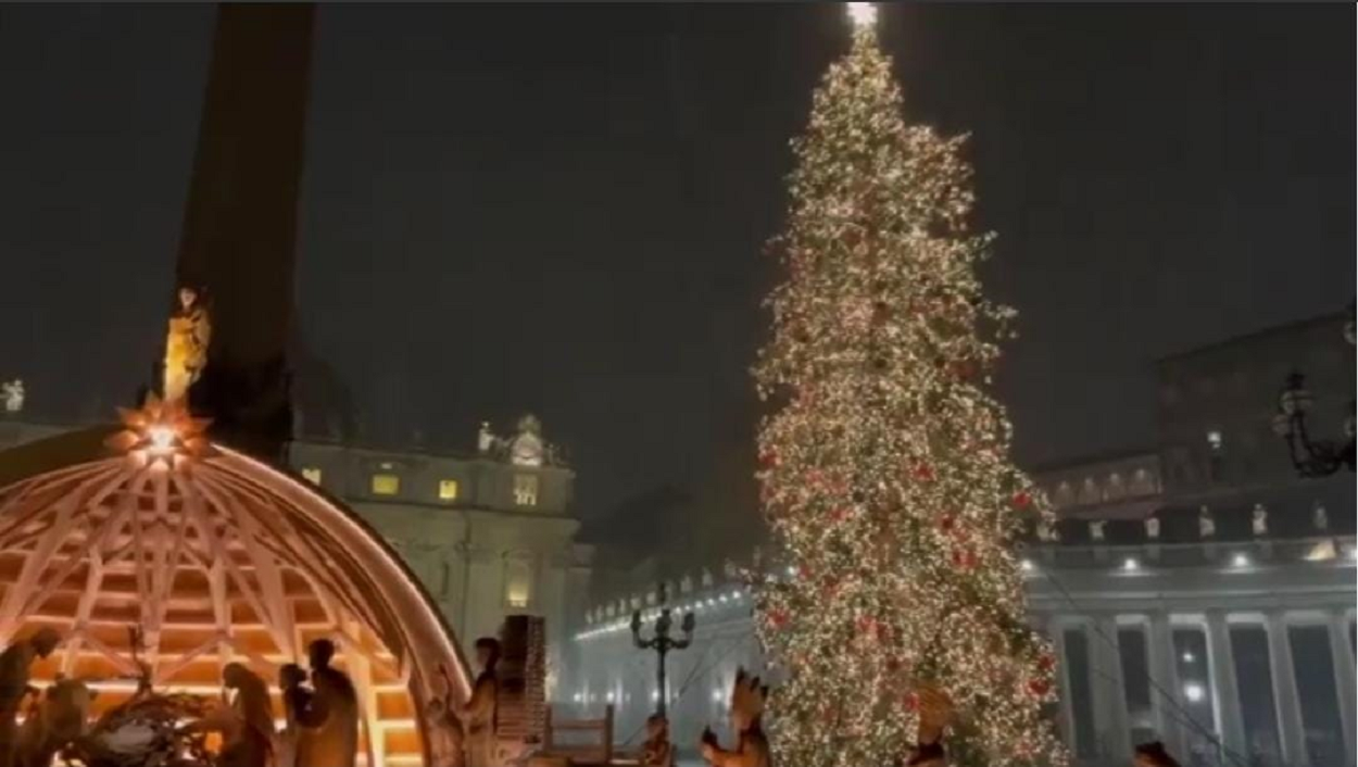 Roma, inaugurazione dell'albero di Natale e del presepe a Piazza San Pietro