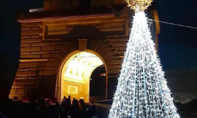 Albero Ponte Milvio