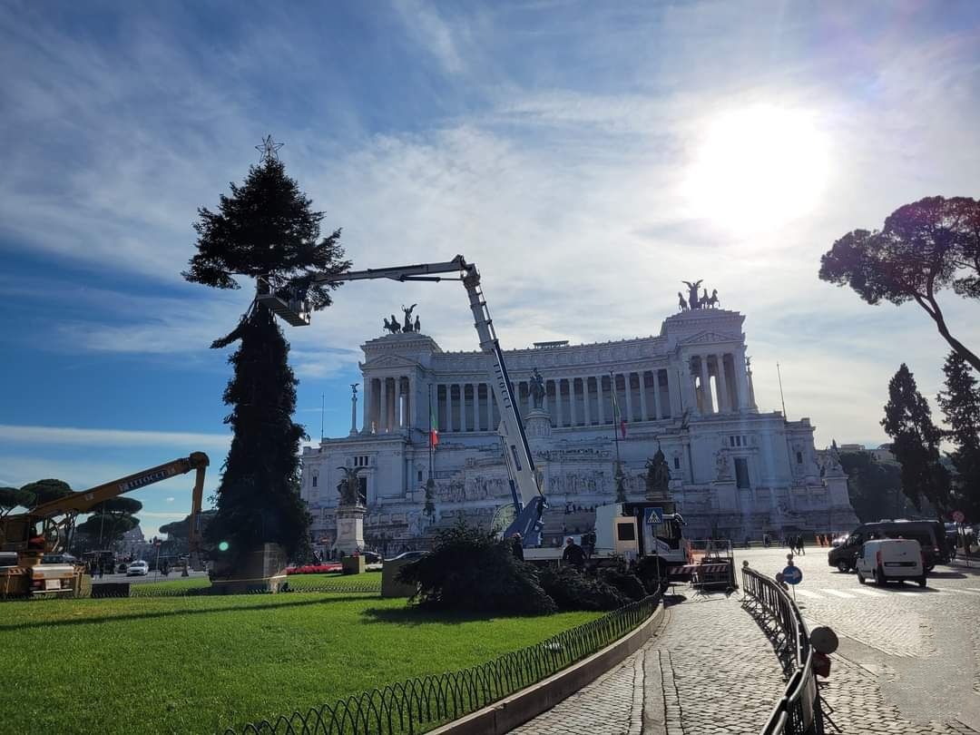 spelacchio a Roma