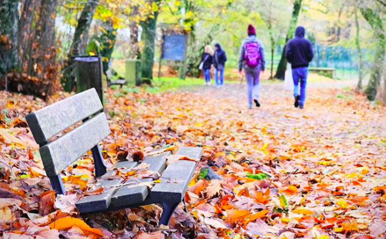 Roma, arriva il piano Verde per la città