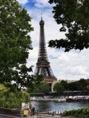 Tour Eiffel incorniciata da 2 alberi