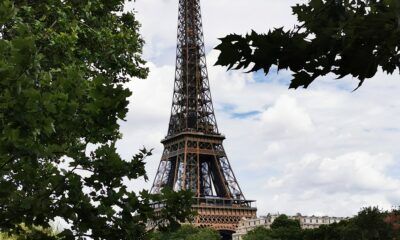 Tour Eiffel incorniciata da 2 alberi