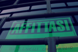 affittasi