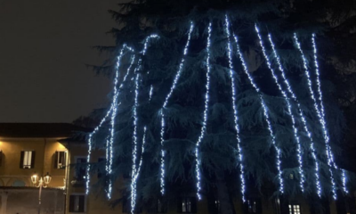 albero cologno monzese