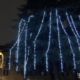 albero cologno monzese