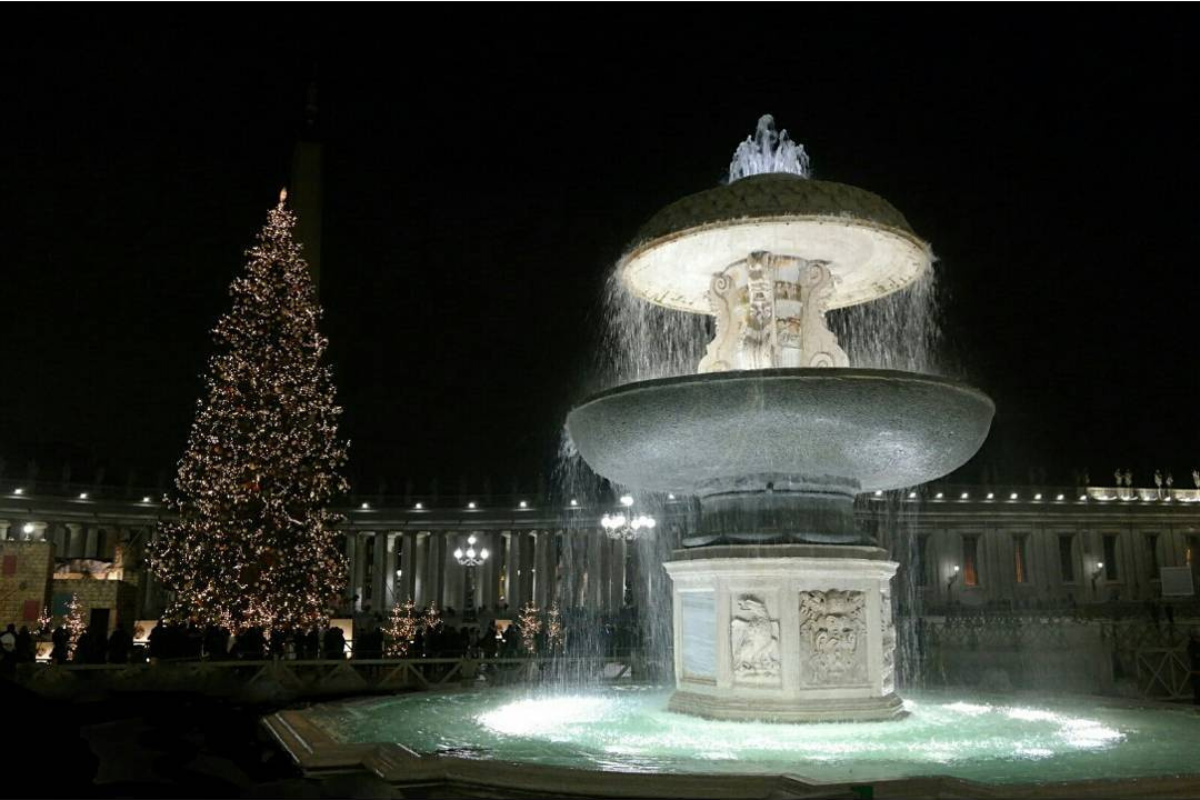 albero piazza san pietro