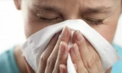 influenza cammello