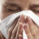 influenza cammello
