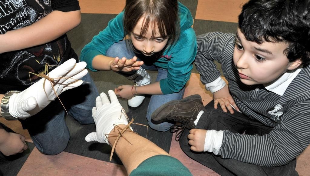 bambini impegnati in un attività al Bioparco