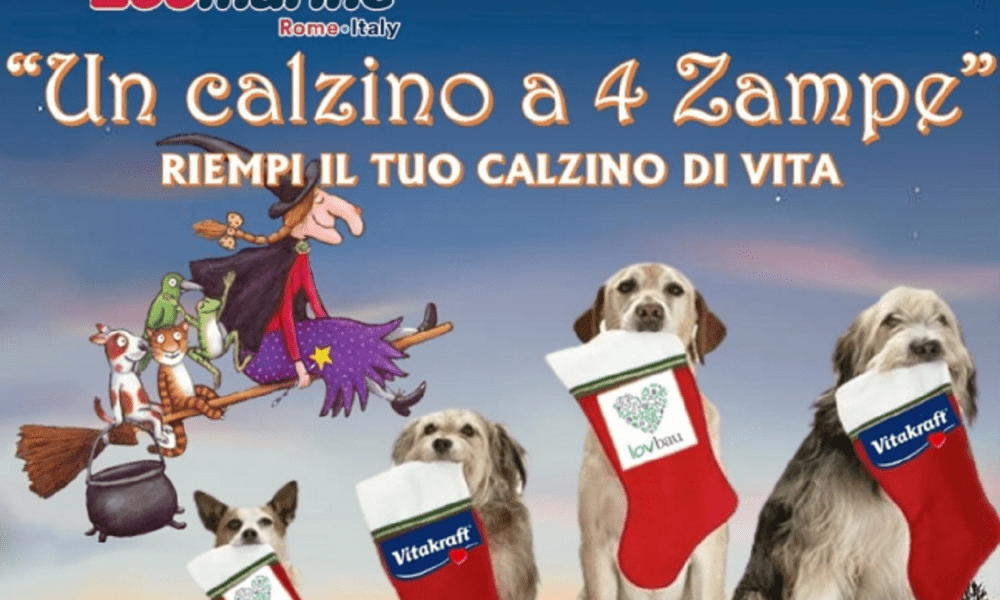 "Un calzino a 4 zampe", l'iniziativa di Zoomarine per la Befana