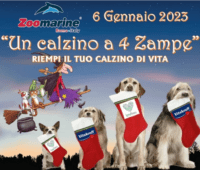 "Un calzino a 4 zampe", l'iniziativa di Zoomarine per la Befana