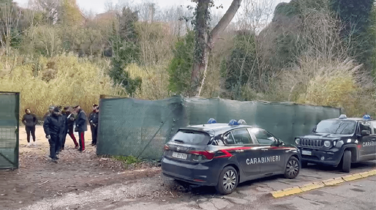 Roma, trovate all'interno dell'ospedale Gemelli delle gabbie trappola per i cinghiali poi disattivate dai carabinieri