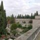Ama cimiteri
