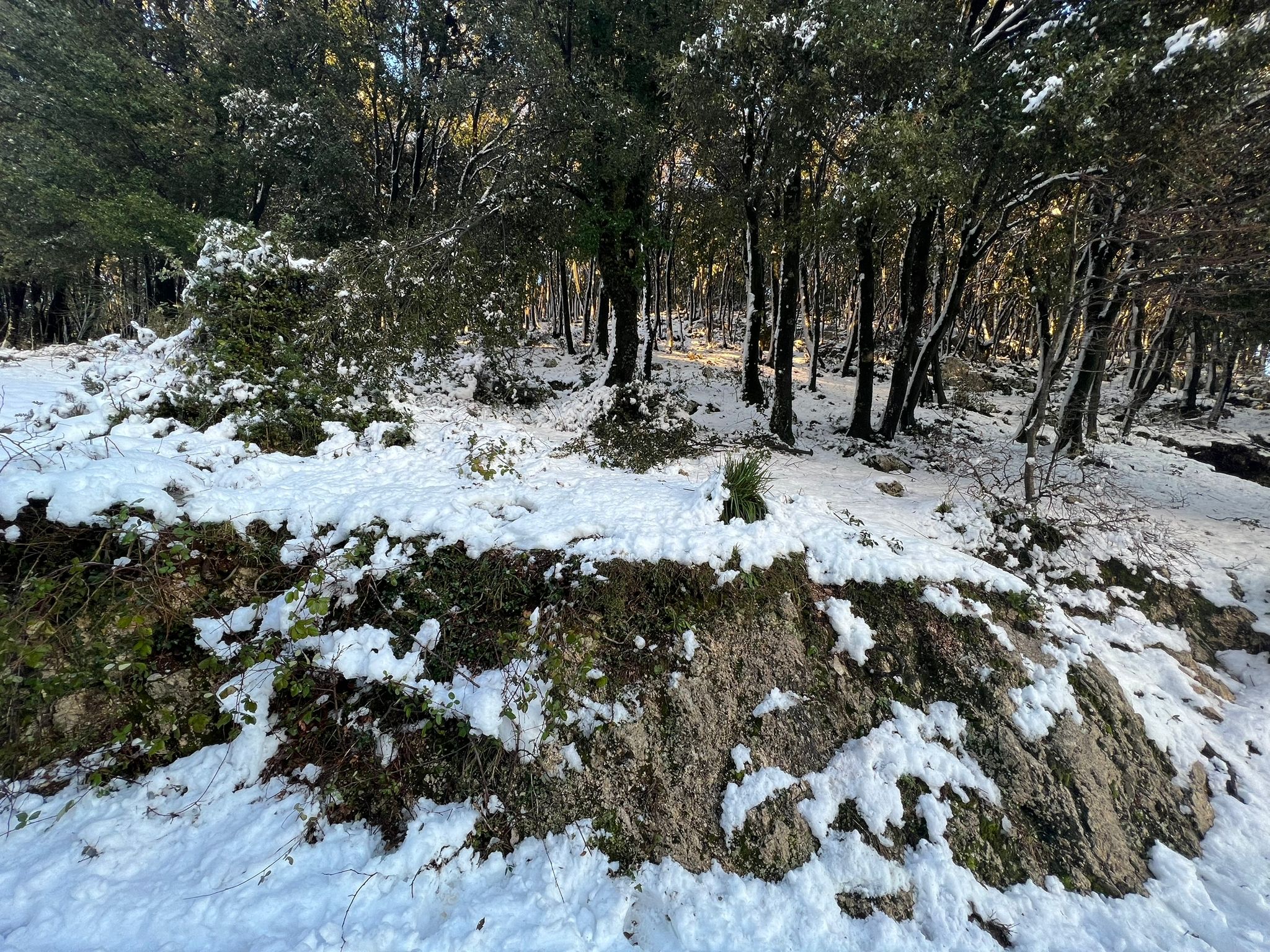 Neve a Roma e nel Lazio. Previsioni meteo domenica 23 gennaio