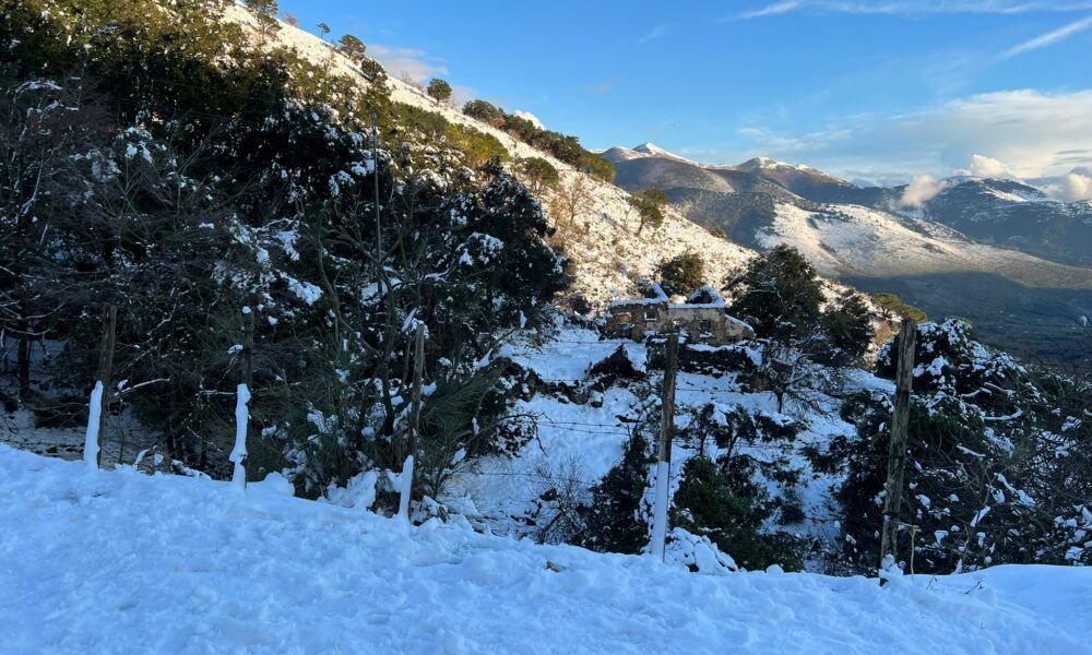 previsioni meteo: neve in arrivo