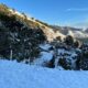 previsioni meteo: neve in arrivo