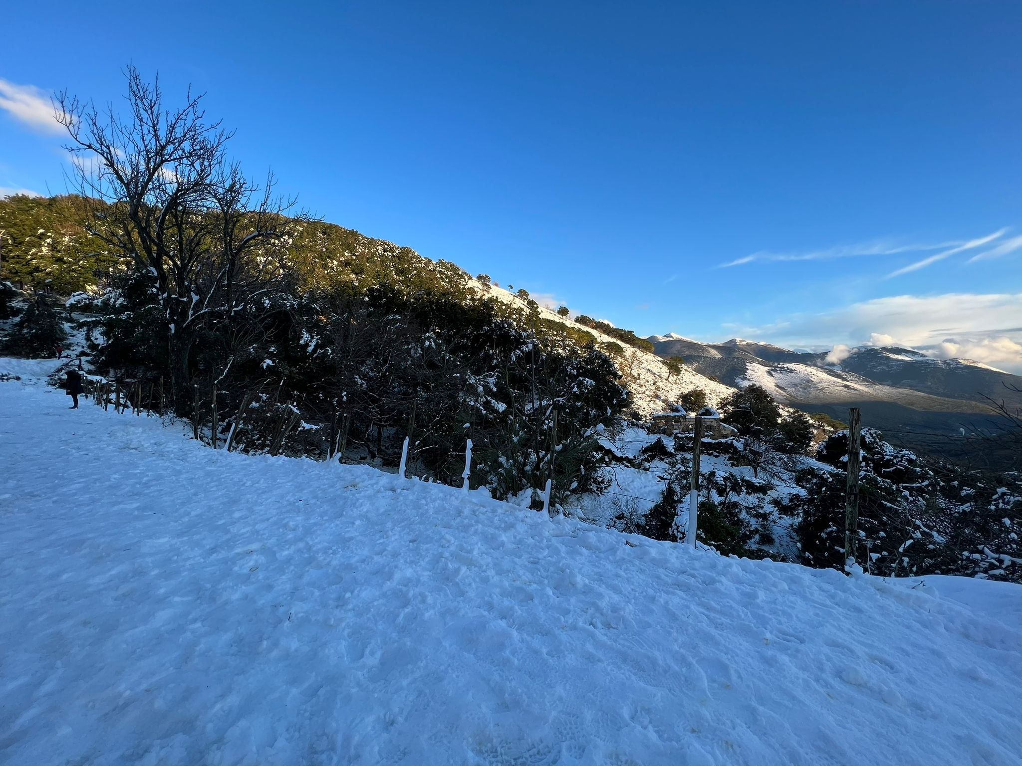 Neve a Roma e nel Lazio. Previsioni meteo domenica 23 gennaio