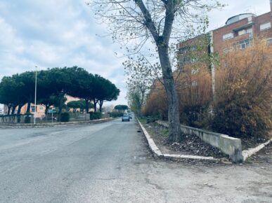 Via dell'idroscalo - Ostia