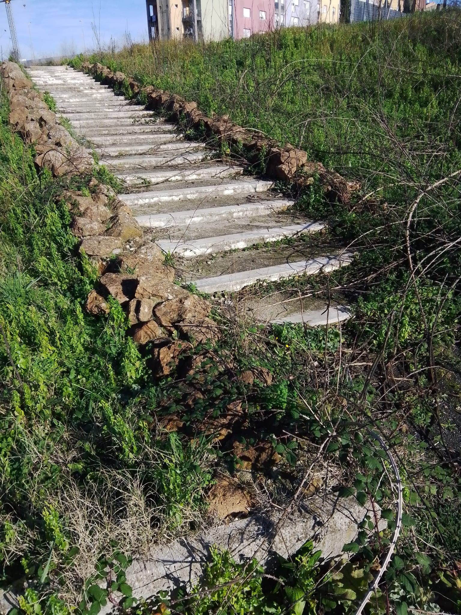 terreno ponte di nona