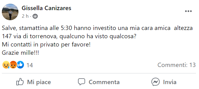 L'appello per cercare testimoni