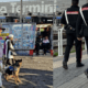 Stazione termini, sicurezza: la direttiva di Piantedosi