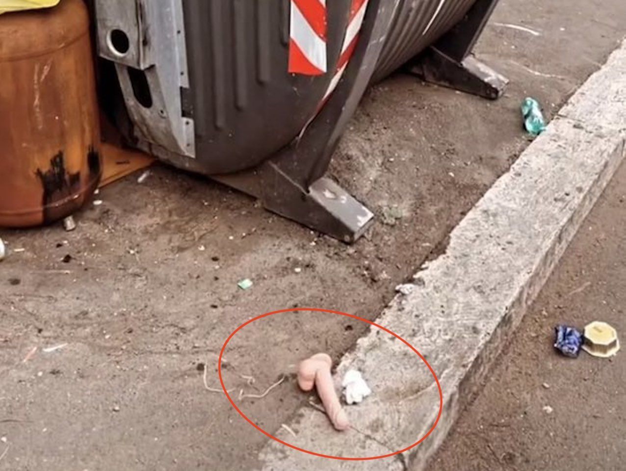 Dildo spazzatura Roma