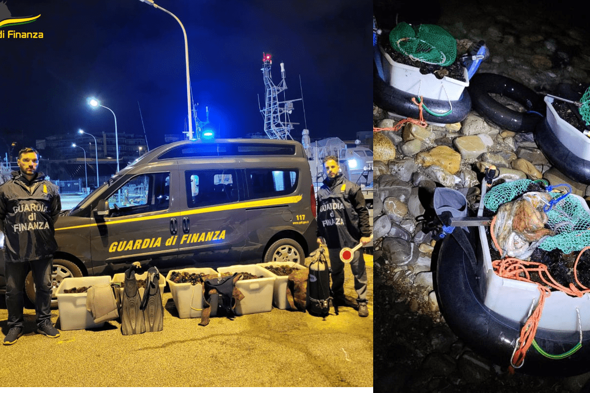 Ricci di mare sequestrati a Civitavecchia