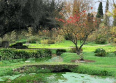 Giardino di Ninfa a Pasquetta 2023