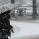 Neve