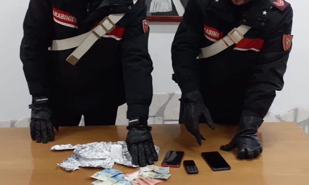 POMEZIA - La droga sequestrata dai Carabinieri