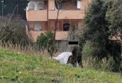 pecora uccisa a colpi di bastone a Monte Mario